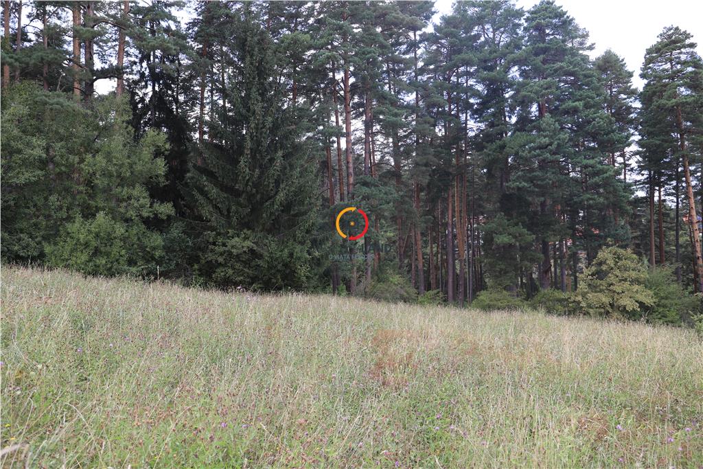 teren intravilan cu PUZ si PUD 2 loturi - foto 6