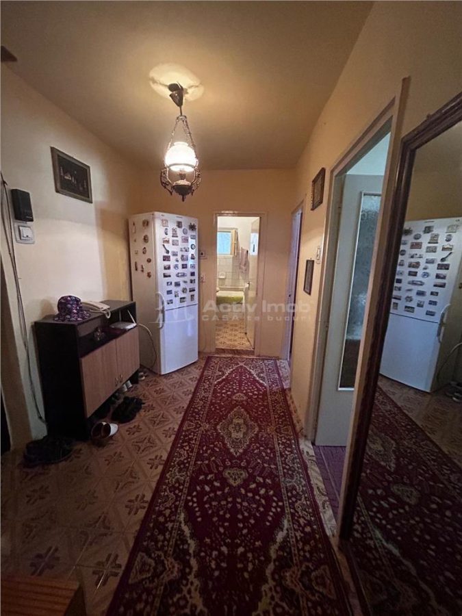 Resita, 2 Cam. Conf.1,Decom.Lunca - foto 11