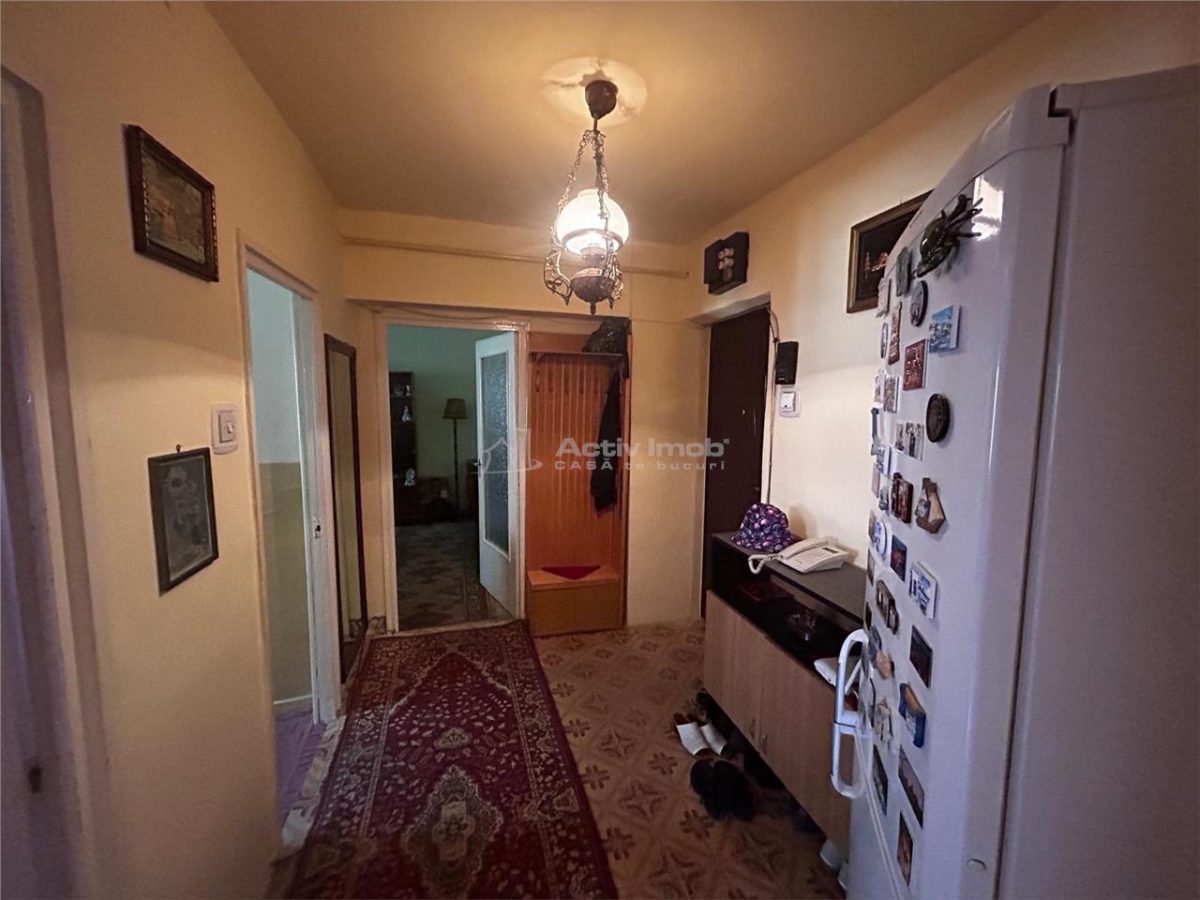 Resita, 2 Cam. Conf.1,Decom.Lunca - foto 15