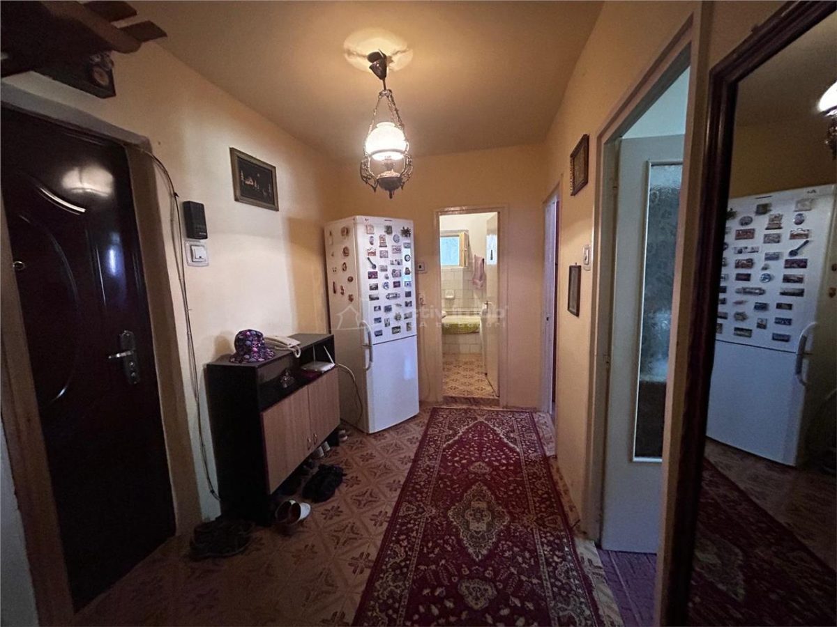 Resita, 2 Cam. Conf.1,Decom.Lunca - foto 18