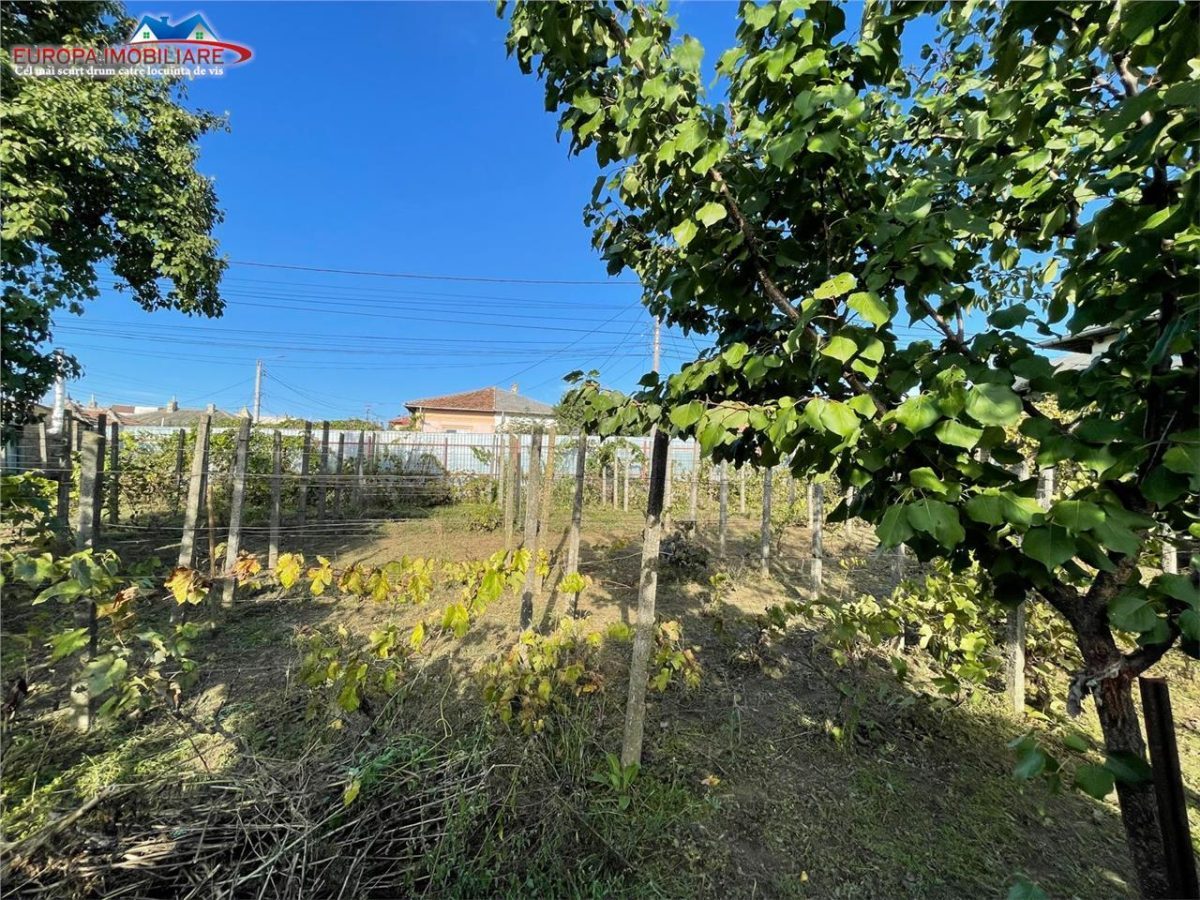 Casa de vanzare zona Pacii Tulcea - foto 3