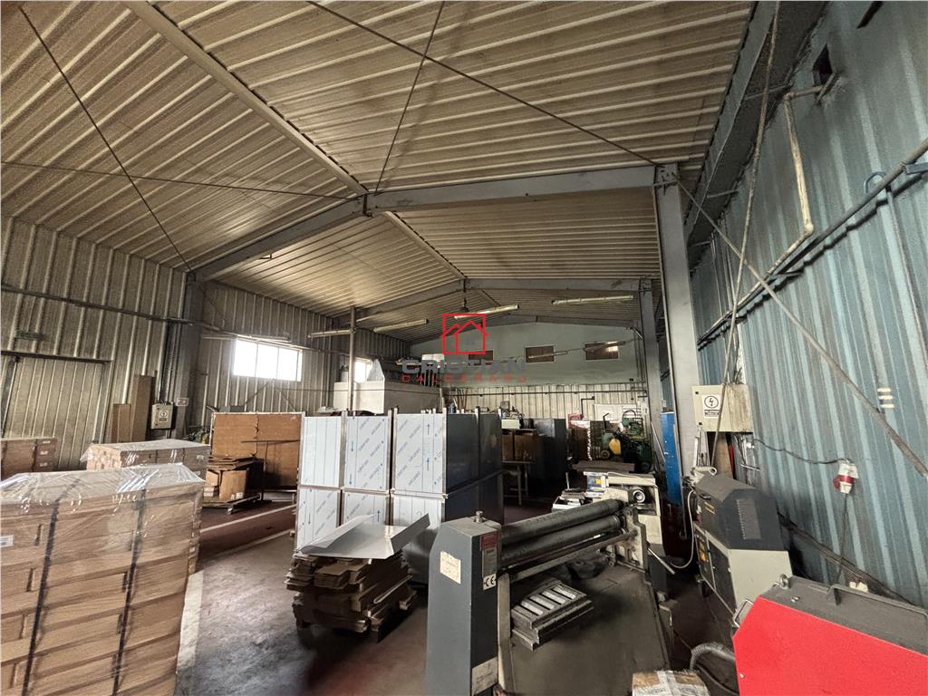 Vanzare depozit/hala/spatiu industrial Magurele - Atomistilor - foto 13