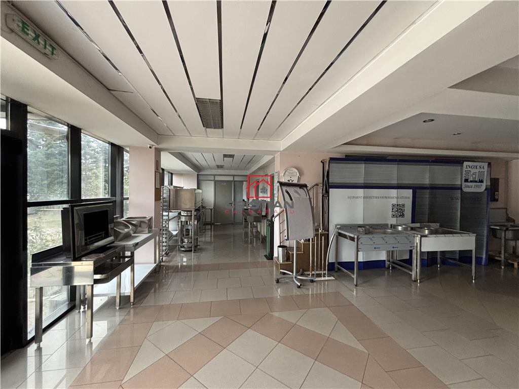 Vanzare depozit/hala/spatiu industrial Magurele - Atomistilor - foto 21