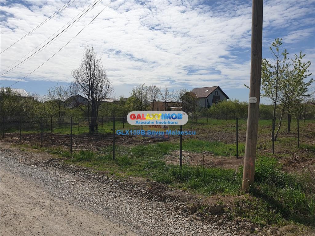 Mogosoaia 854 Mp (Ideal Investitie) - str. Eugen Barbu - foto 4