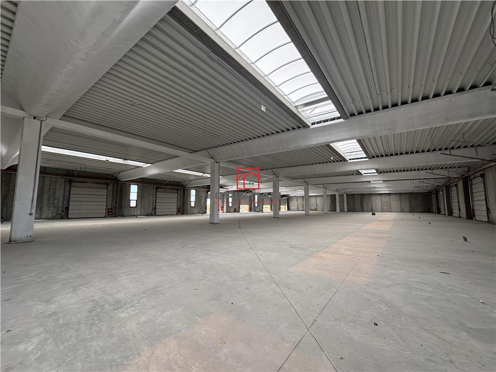 Vanzare depozit/spatiu industrial/hala Chitila - Rudeni, ILFOV - foto 6