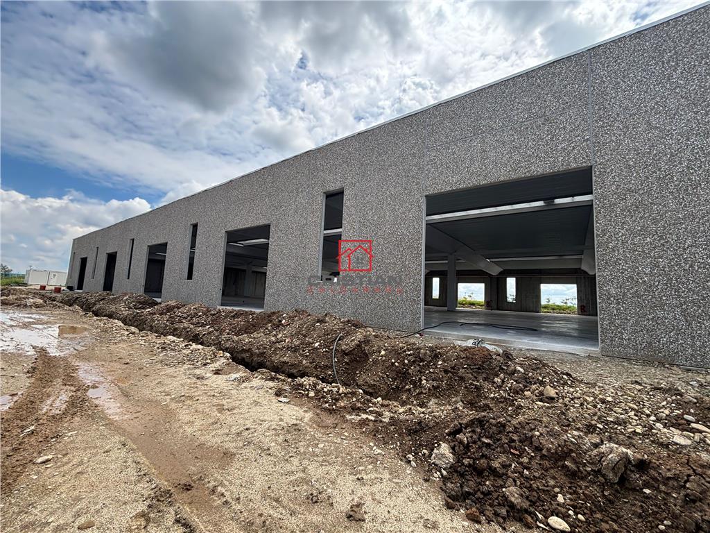 Vanzare depozit/spatiu industrial/hala Chitila - Rudeni, ILFOV - foto 11