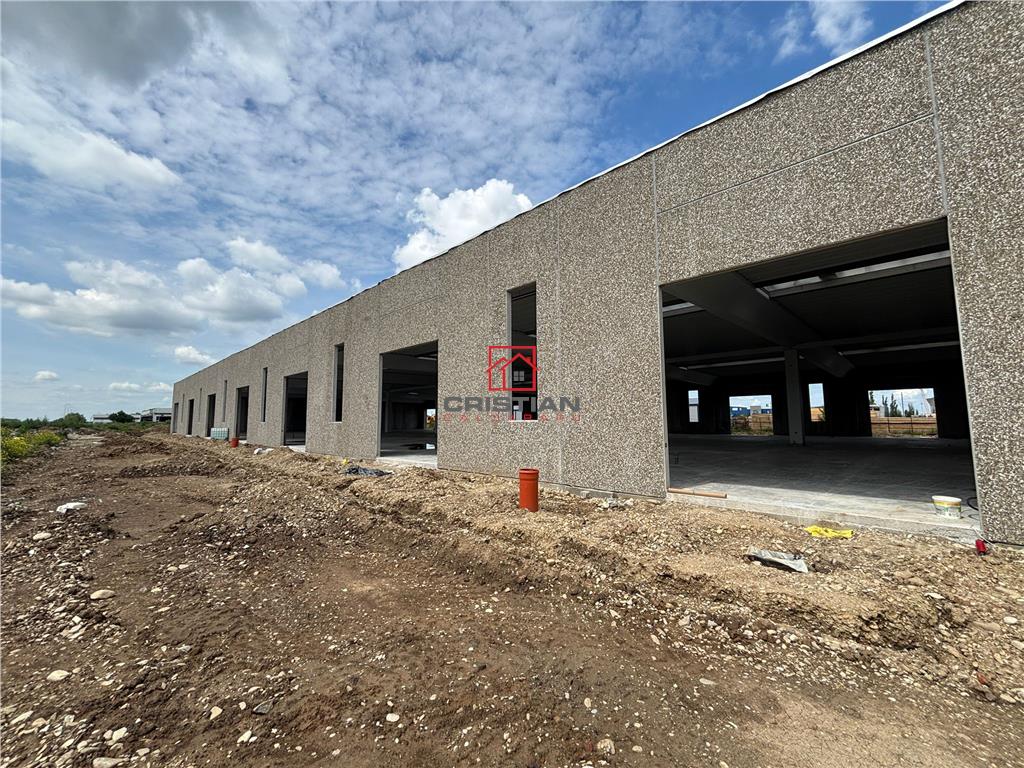 Vanzare depozit/spatiu industrial/hala Chitila - Rudeni, ILFOV - foto 13