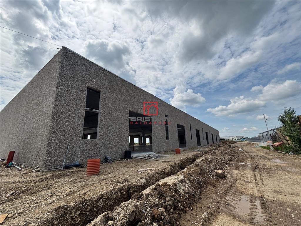 Vanzare depozit/spatiu industrial/hala Chitila - Rudeni, ILFOV - foto 15