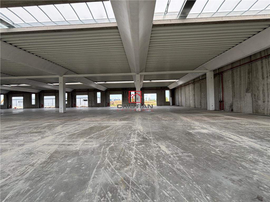 Vanzare depozit/spatiu industrial/hala Chitila - Rudeni, ILFOV - foto 17