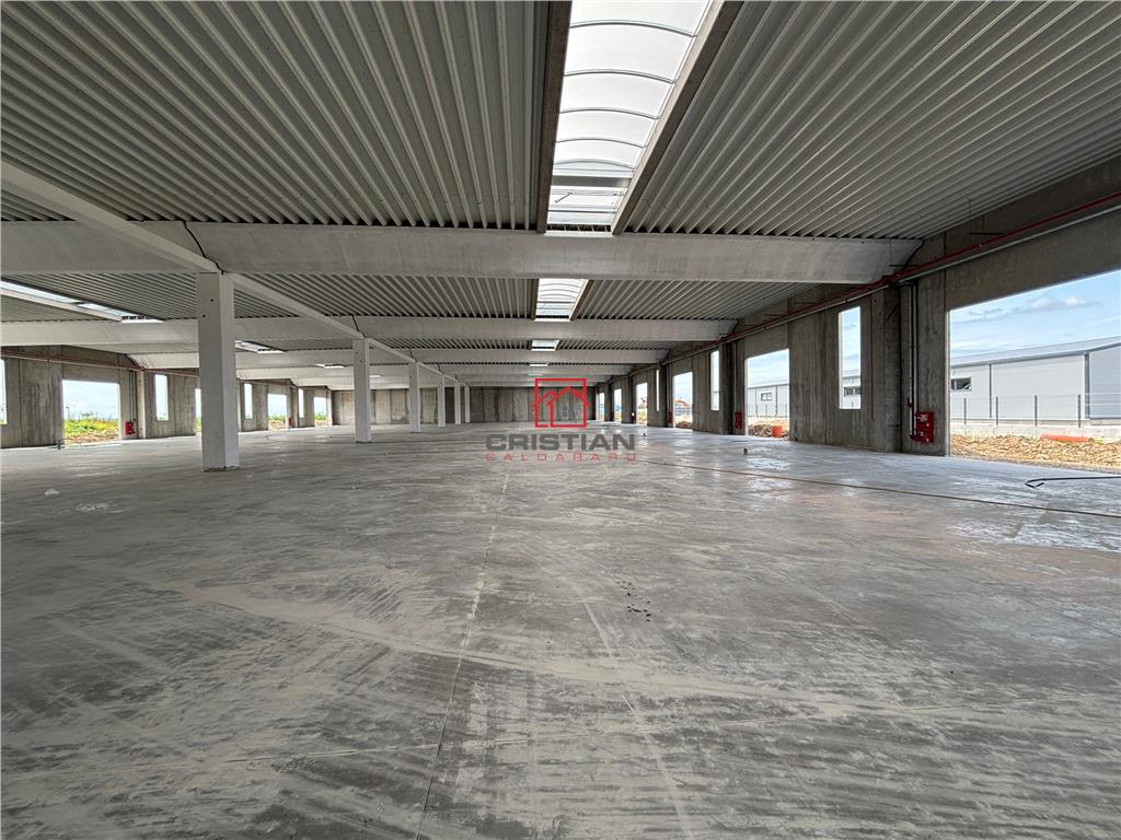Vanzare depozit/spatiu industrial/hala Chitila - Rudeni, ILFOV - foto 21