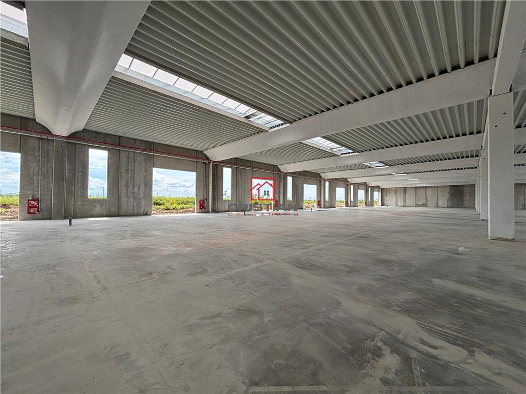 Vanzare depozit/spatiu industrial/hala Chitila - Rudeni, ILFOV - foto 22