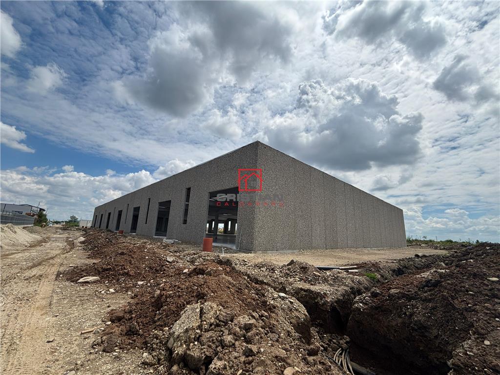 Vanzare depozit/spatiu industrial/hala Chitila - Rudeni, ILFOV - foto 4