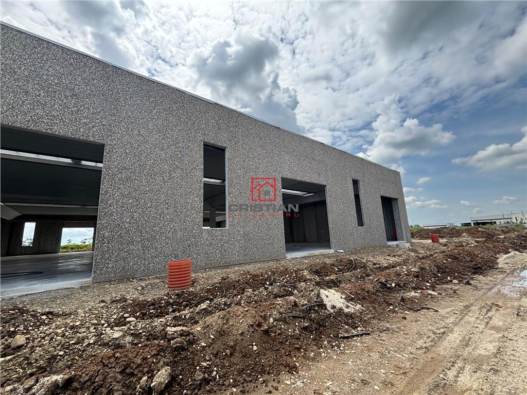 Vanzare depozit/spatiu industrial/hala Chitila - Rudeni, ILFOV - foto 7