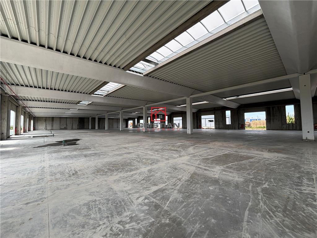 Vanzare depozit/spatiu industrial/hala Chitila - Rudeni, ILFOV - foto 9