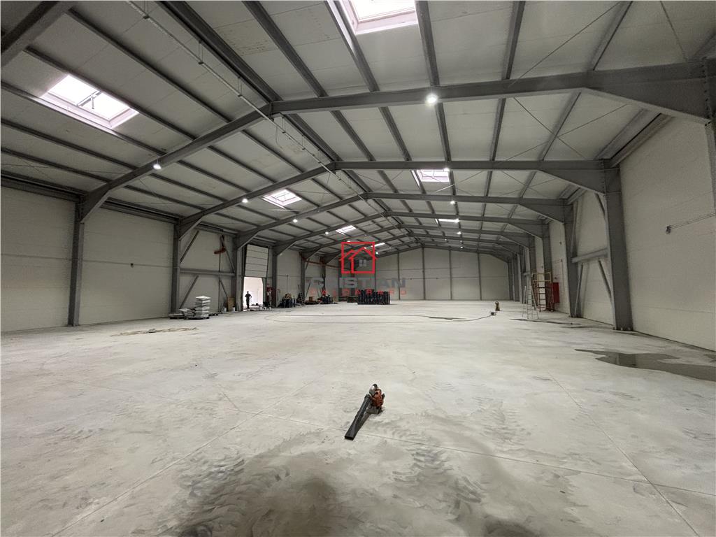 Vanzare depozit/hala/spatiu industrial Otopeni - Centura Nord - 