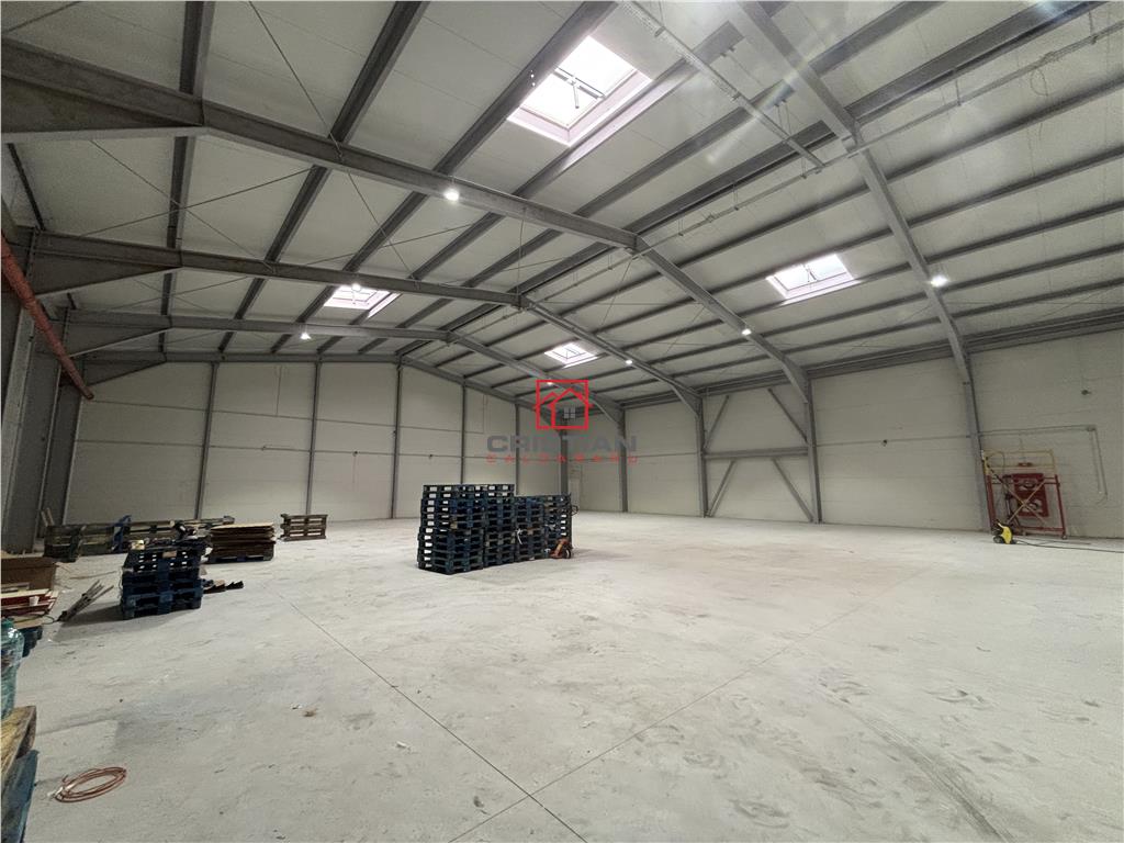 Vanzare depozit/hala/spatiu industrial Otopeni - Centura Nord - foto 5