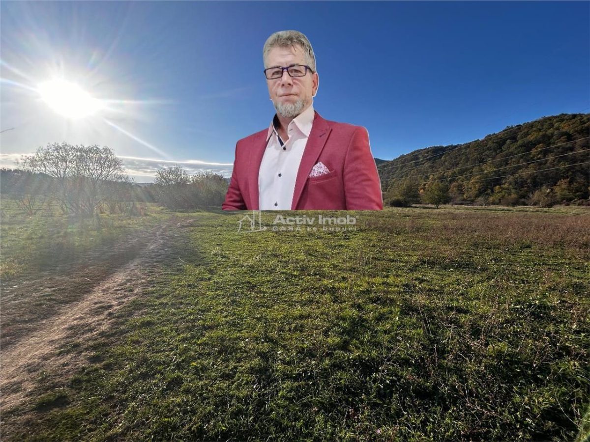 Bocsa Teren Intravilan 2754 Mp. - 