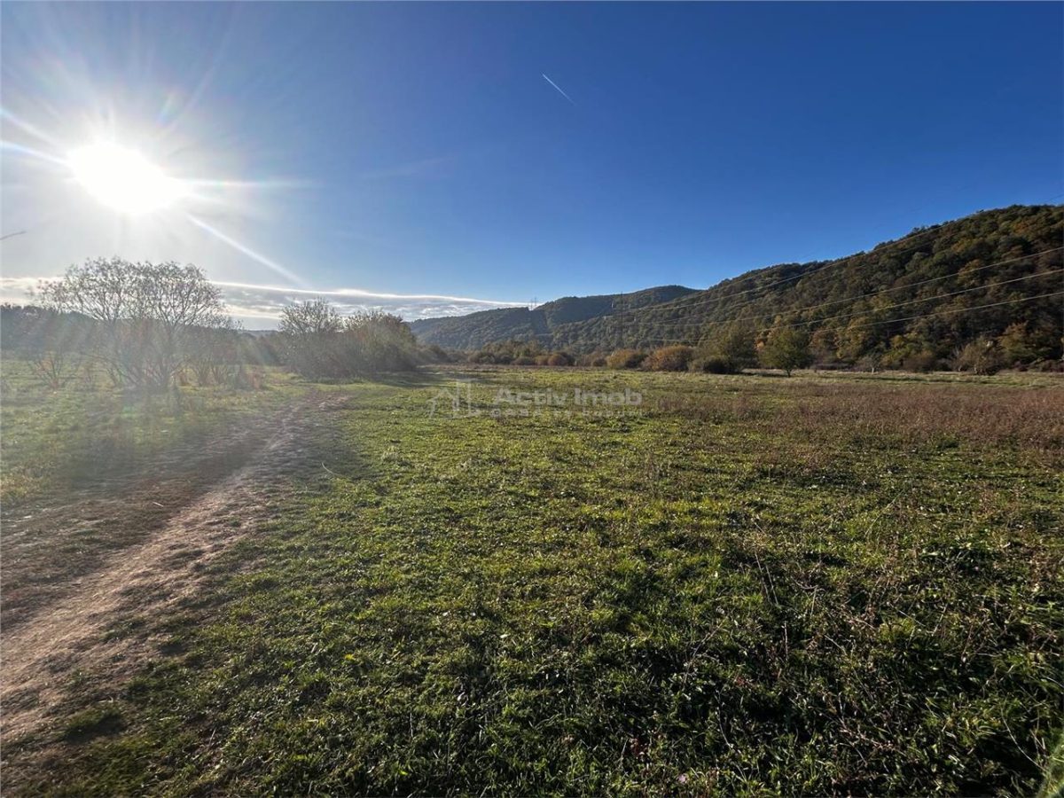 Bocsa Teren Intravilan 2754 Mp. - foto 2