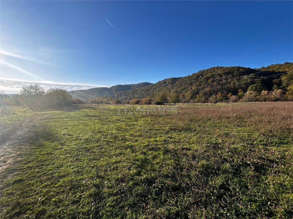 Bocsa Teren Intravilan 2754 Mp. - foto 3