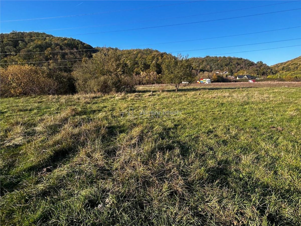 Bocsa Teren Intravilan 2754 Mp. - foto 4