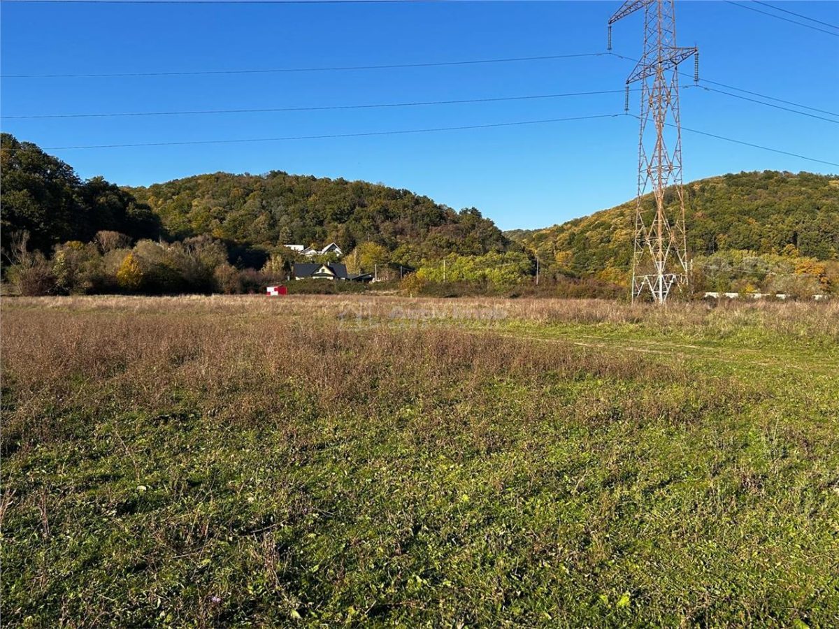 Bocsa Teren Intravilan 2754 Mp. - foto 5