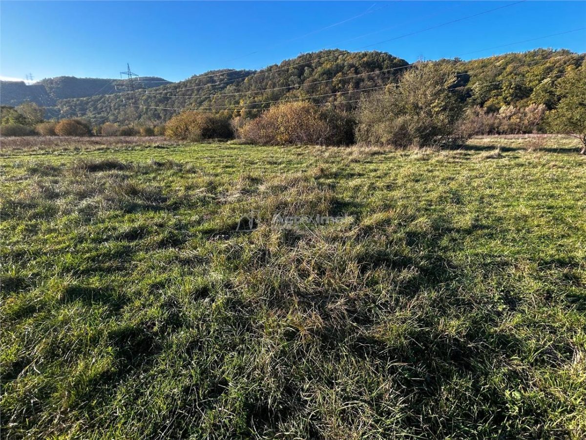 Bocsa Teren Intravilan 2754 Mp. - foto 6