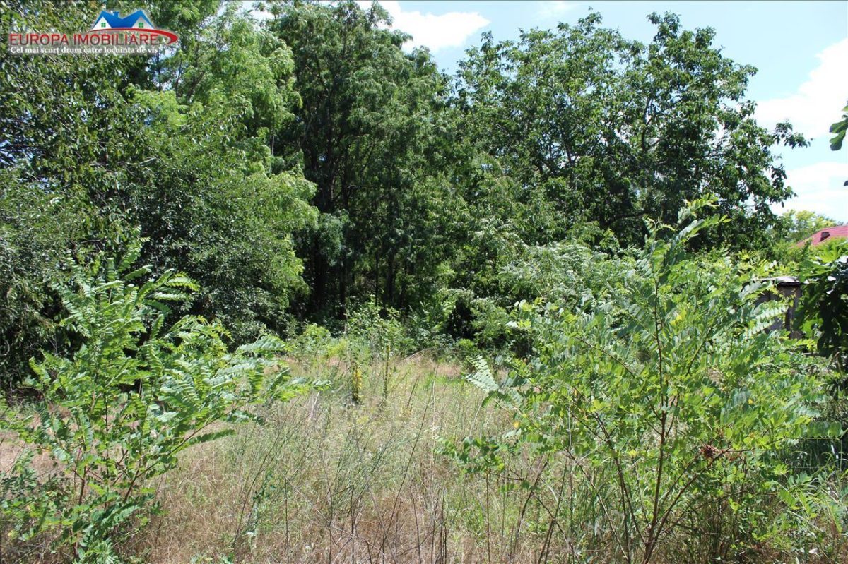 Teren intravilan de vanzare zona Dallas - foto 2