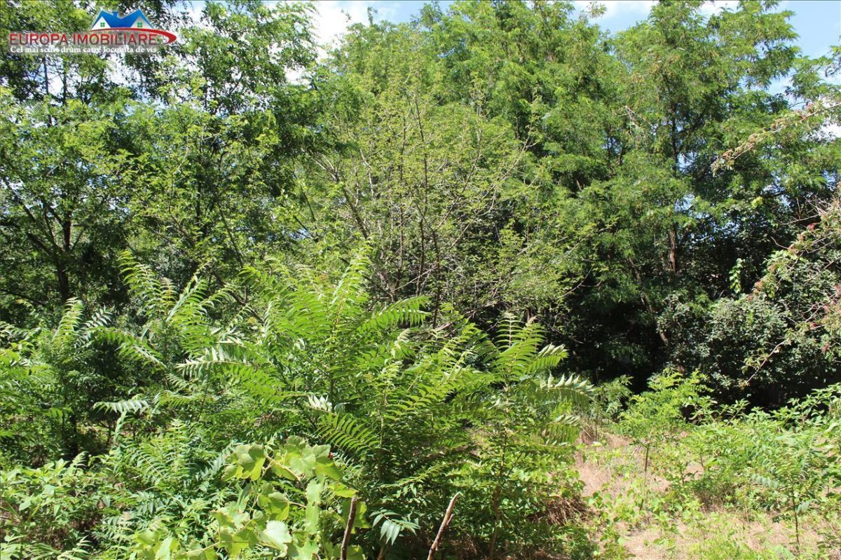 Teren intravilan de vanzare zona Dallas - foto 3