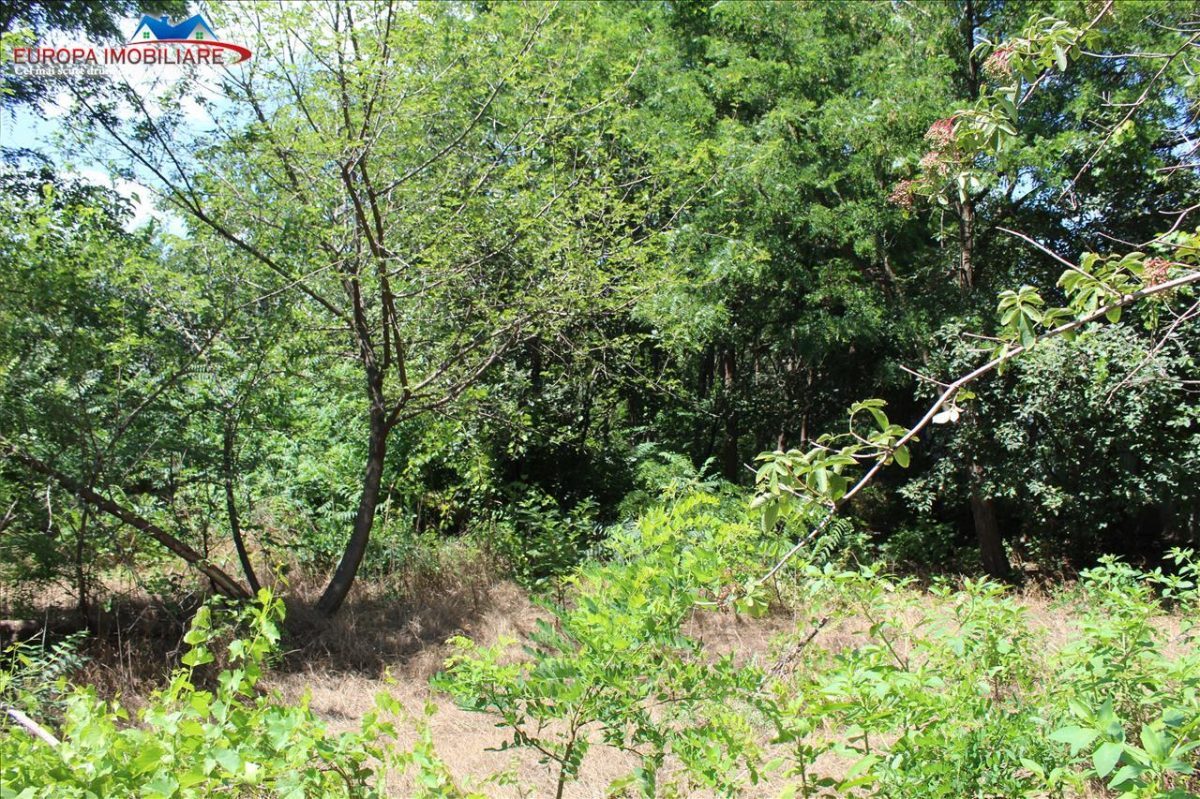 Teren intravilan de vanzare zona Dallas - foto 4