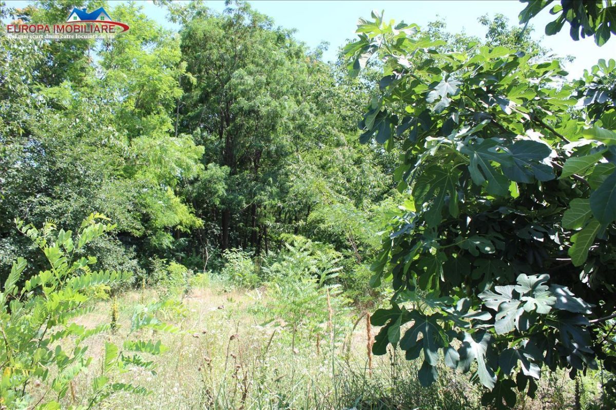 Teren intravilan de vanzare zona Dallas - foto 6