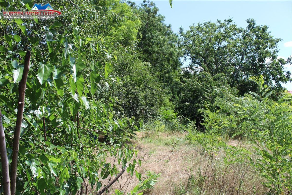 Teren intravilan de vanzare zona Dallas - foto 7