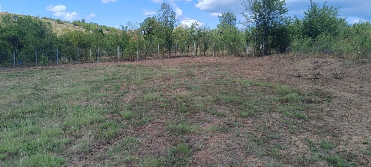 Oportunitate imobiliara, teren 5600 mp in Baicoi, zona Liliesti. - foto 16