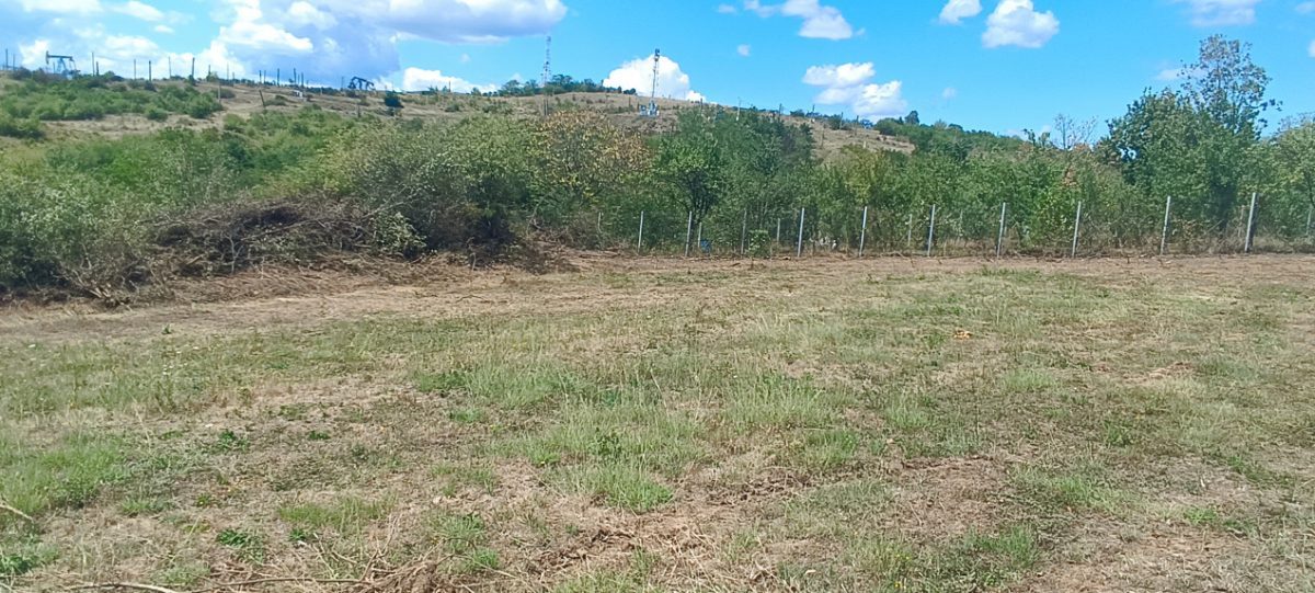 Oportunitate imobiliara, teren 5600 mp in Baicoi, zona Liliesti. - foto 7