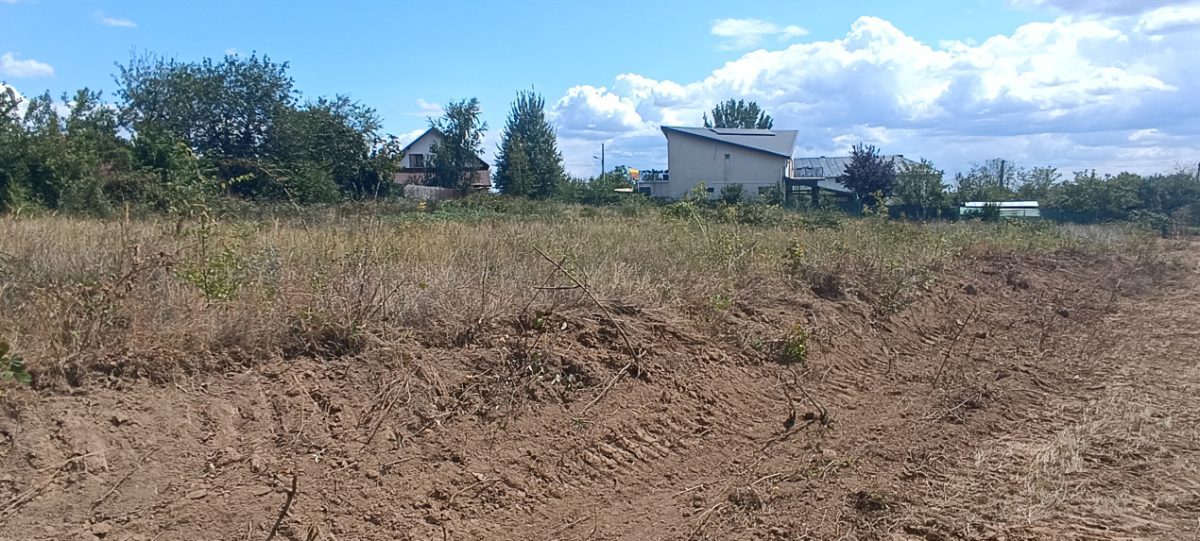 Oportunitate imobiliara, teren 5600 mp in Baicoi, zona Liliesti. - foto 10