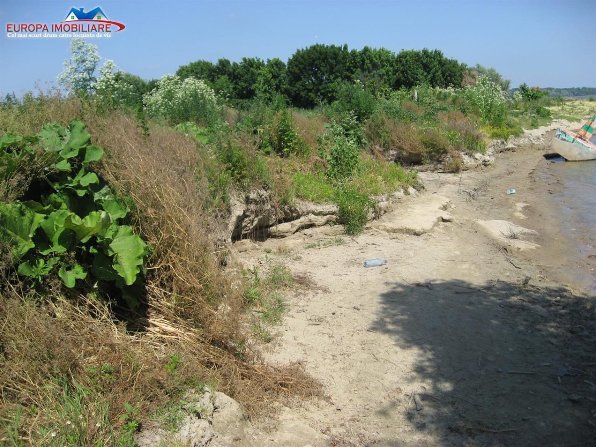 Teren intravilan Baltenii de jos - 