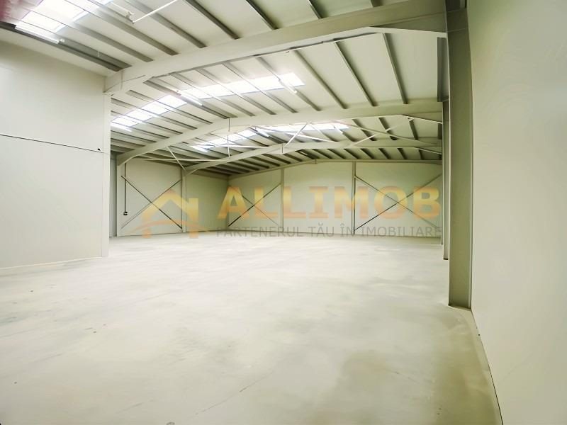 Hale noi, suprafata de 600 mp, in Chitila, Centura. - 