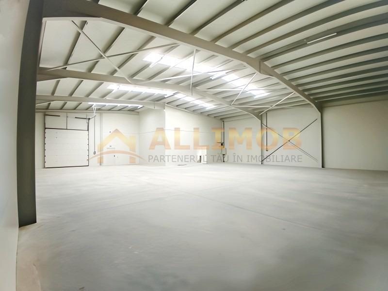 Hale noi, suprafata de 600 mp, in Chitila, Centura. - foto 2