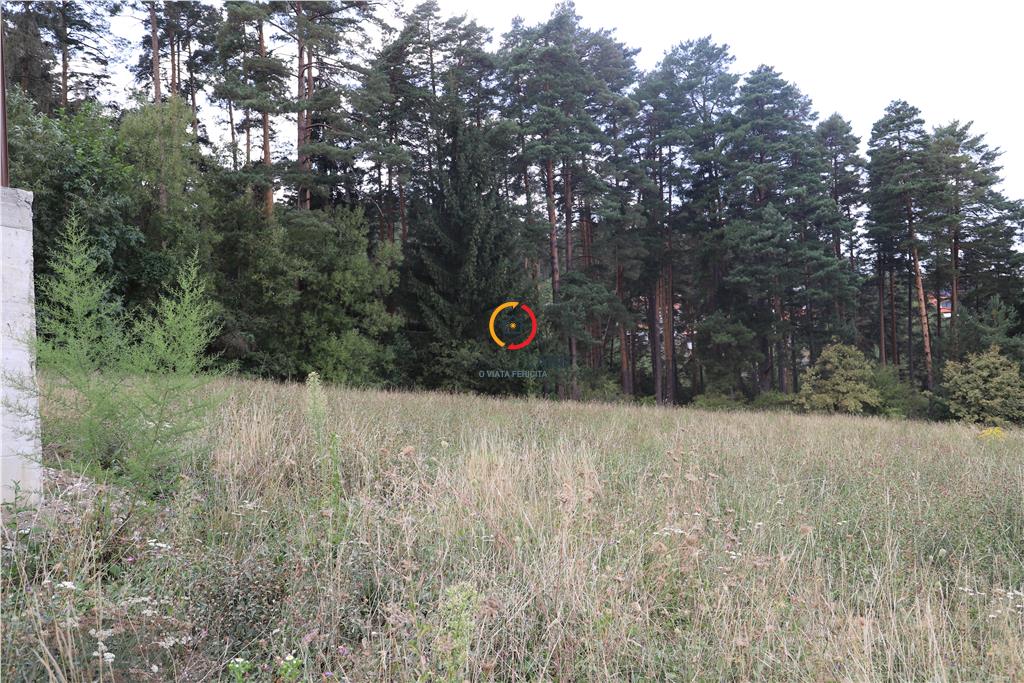 teren intravilan cu PUZ si PUD  3 loturi - foto 2