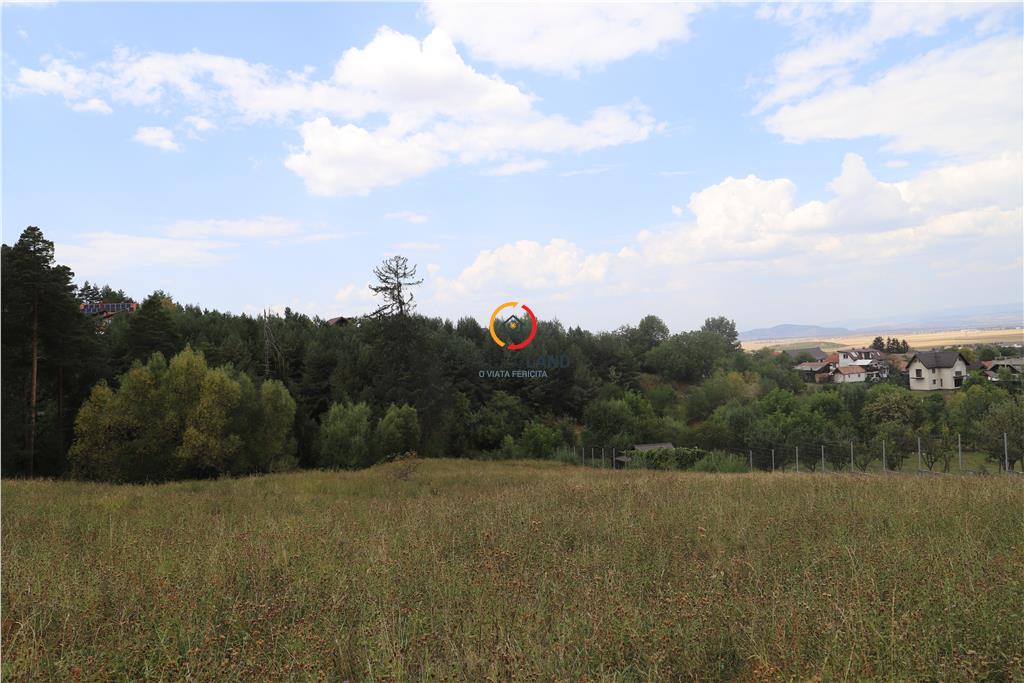 teren intravilan cu PUZ si PUD 2 loturi - foto 2