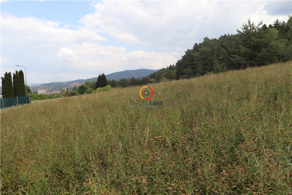 teren intravilan cu PUZ si PUD 2 loturi - foto 3