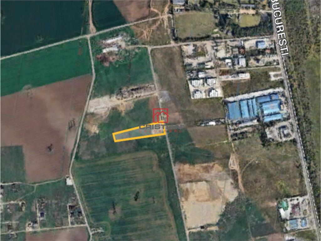 Vanzare teren industrial Domnesti - Centura, ILFOV - Domnesti