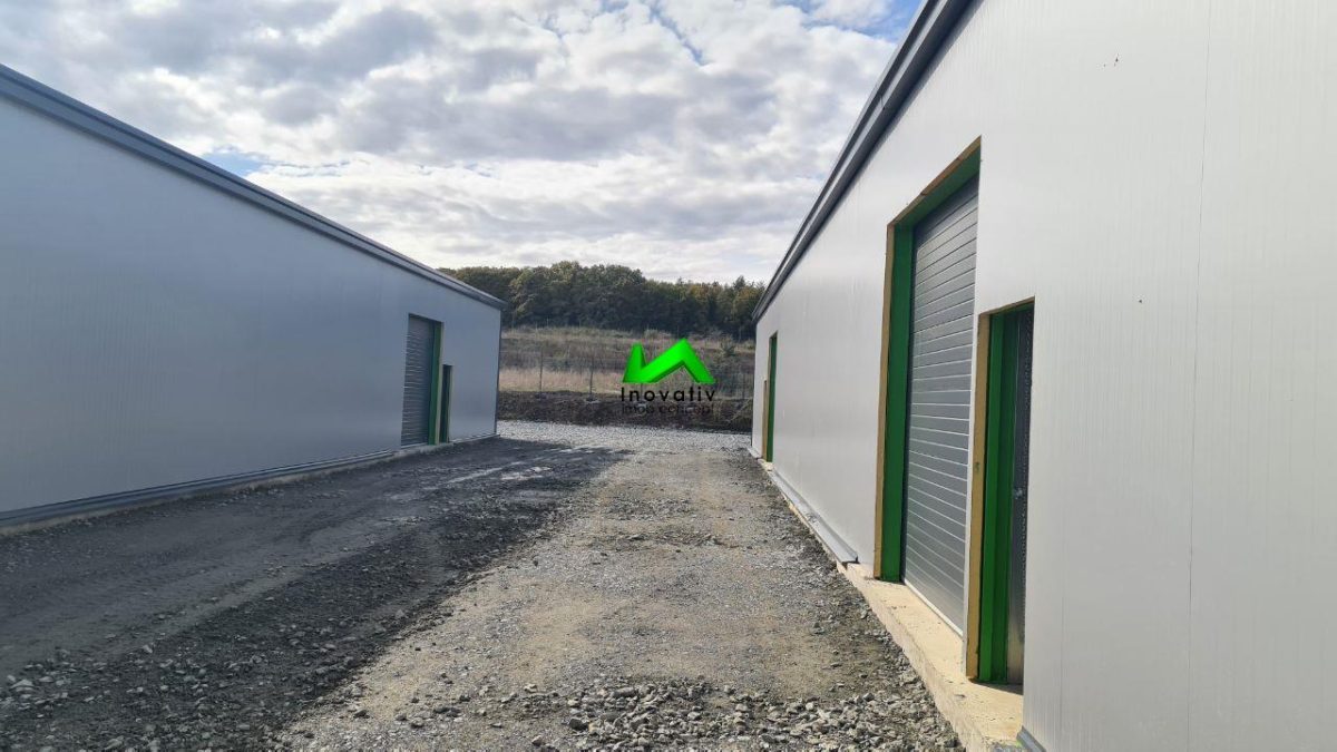 Spatiu industrial de vanzare teren parcare Sibiu Selimbar - foto 4