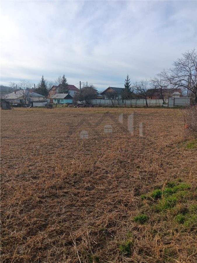 Teren 3500mp. Paun Bucium la asfalt cu toate utilitatile - Paun