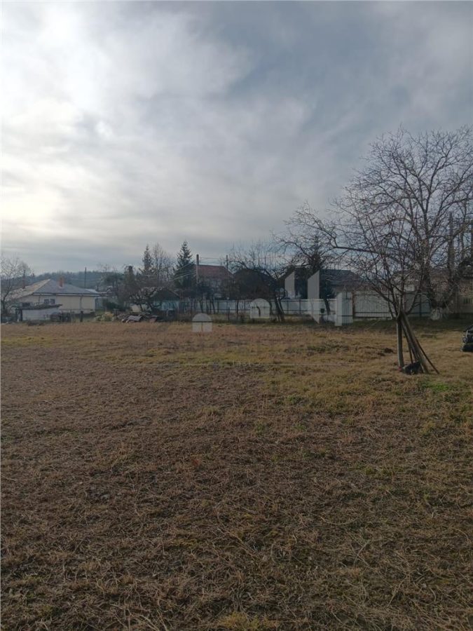 Teren 3500mp. Paun Bucium la asfalt cu toate utilitatile - foto 2