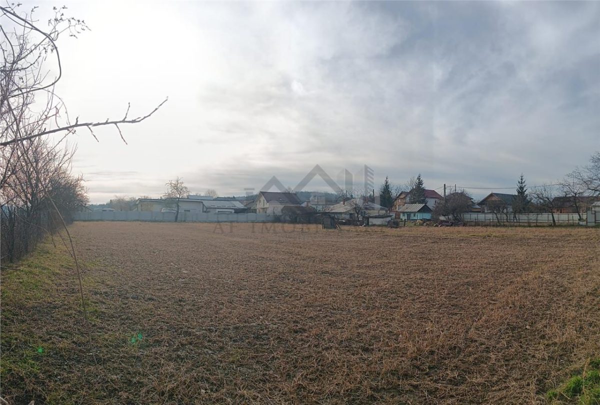 Teren 3500mp. Paun Bucium la asfalt cu toate utilitatile - foto 3