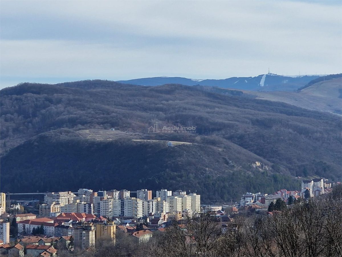 Resita Teren Cartierul Francez 1000 Mp Intravilan.Comision ZERO Cumparator - foto 2