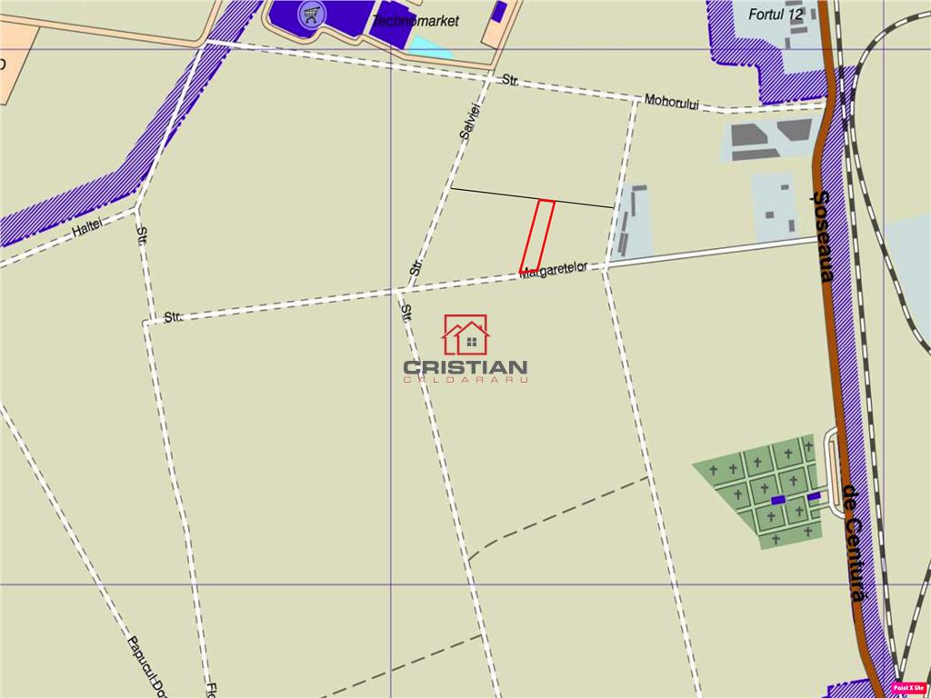 Vanzare teren Domnesti - Centura, ILFOV - Domnesti