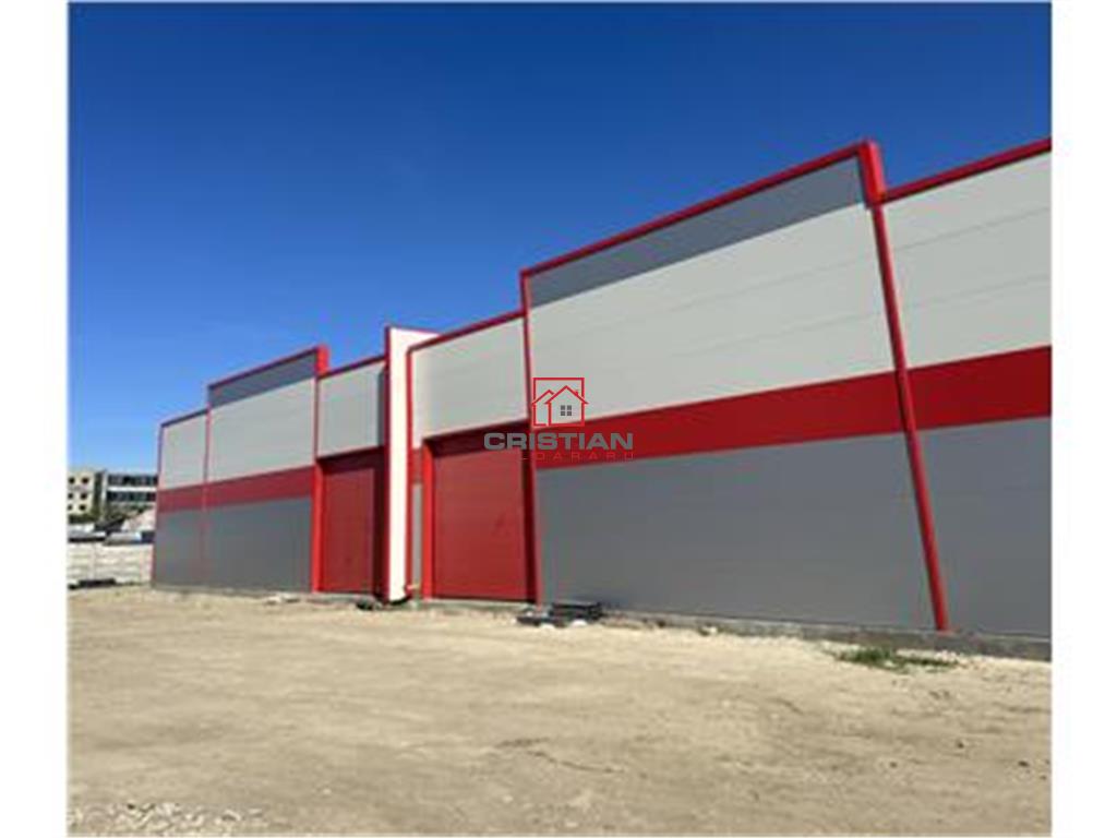 Vanzare depozit/hala/spatiu industrisl Jilava - Giurgiului - Progresul, Ilfov - foto 8