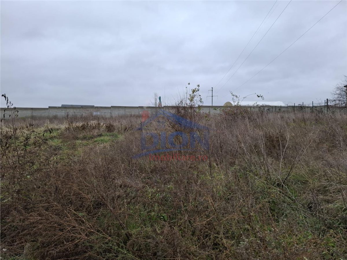 Teren  intravilan langa padure - 