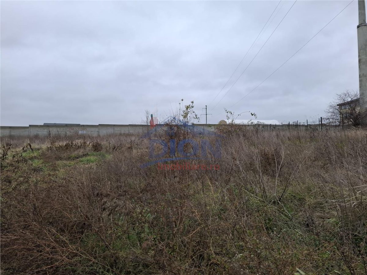 Teren  intravilan langa padure - foto 3